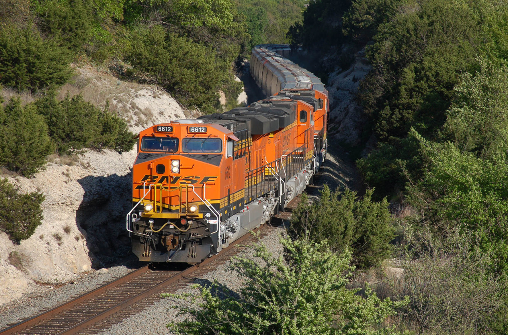 Train photographers
